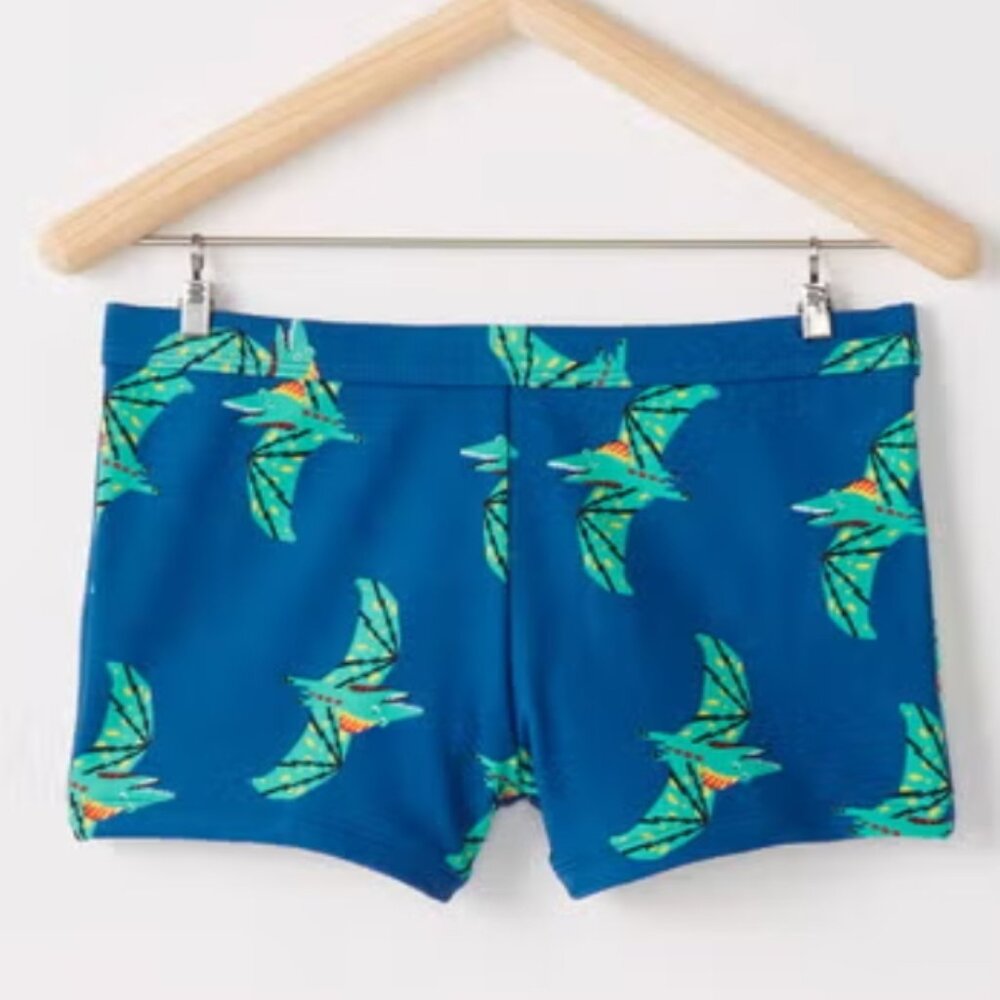 Hanna Andersson sz 10 swim shorts